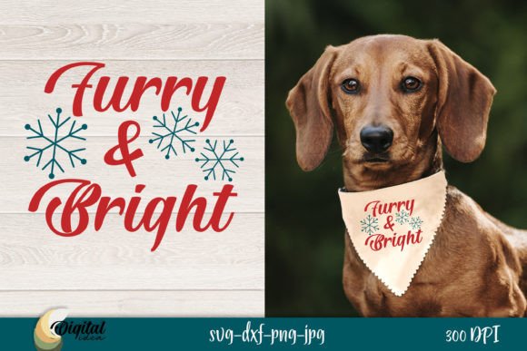 Furry and Bright: A Designer’s Review